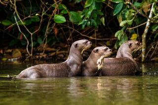 Adobestock 481256302