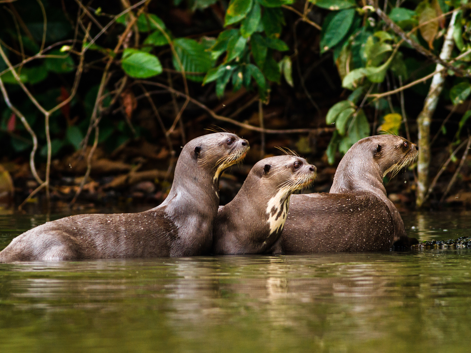 Adobestock 481256302