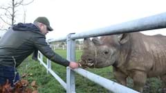 Feeding a Rhino (3)