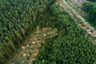 Adobestock 384185807