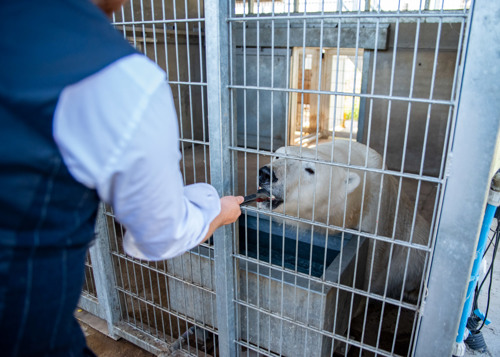 Stephanie Chambers @ Smiler Photos 7