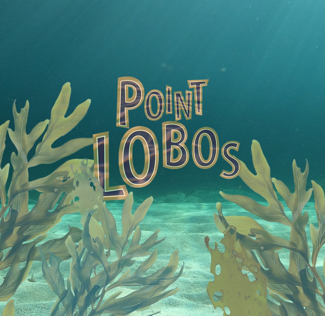 Point Lobos Carousel Copy