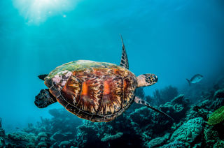 Adobestock 334714574