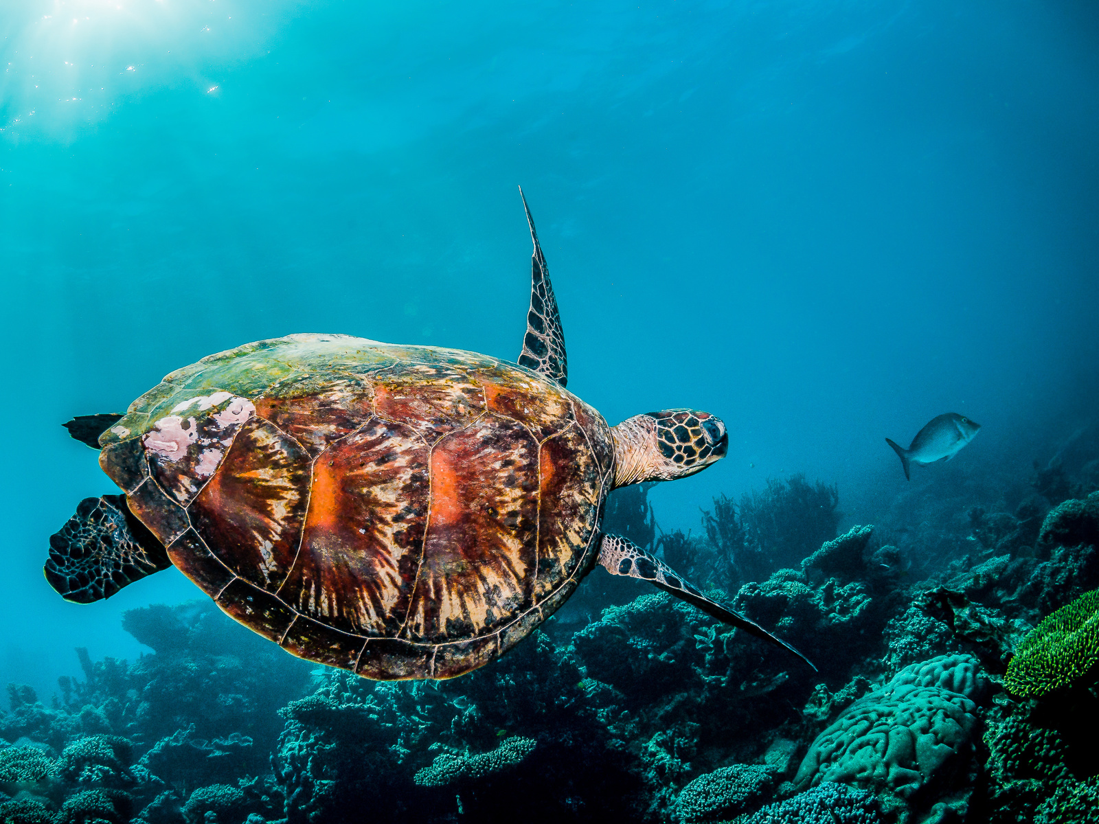 Adobestock 334714574