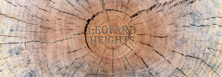 Leopard Heights Carousel