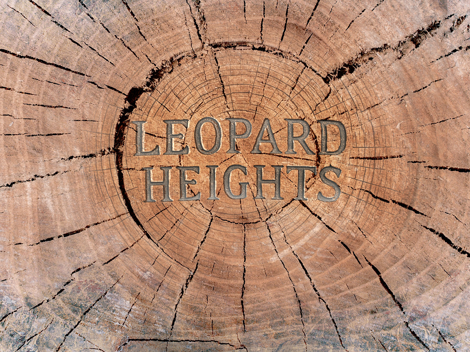 Leopard Heights Carousel