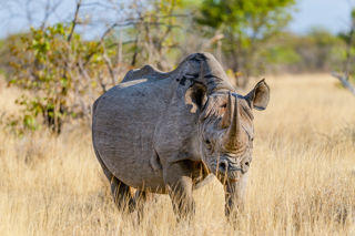 Adobestock 399061668