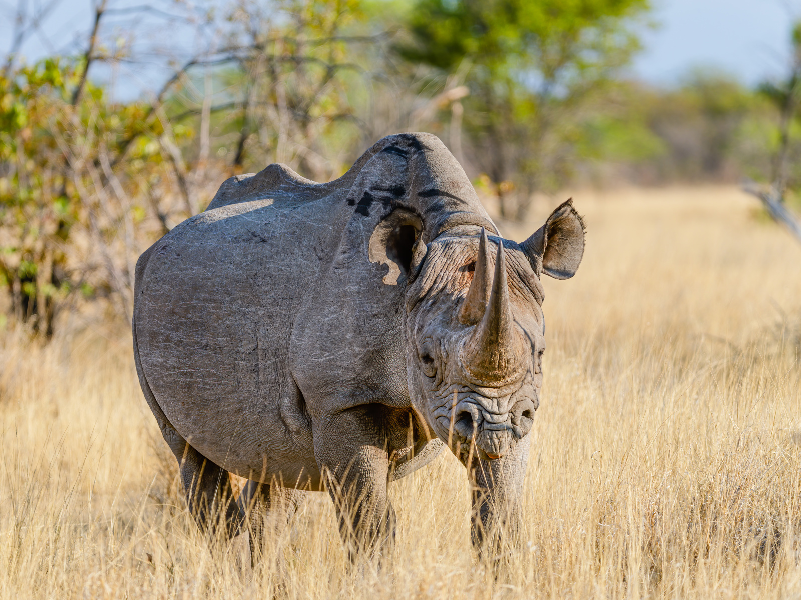 Adobestock 399061668