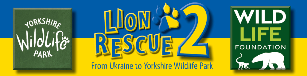 Ywp 2250 Lion Rescue 2 Digital 600 X 150