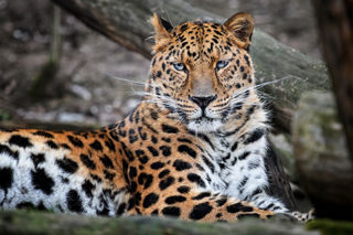 Adobestock 355912513