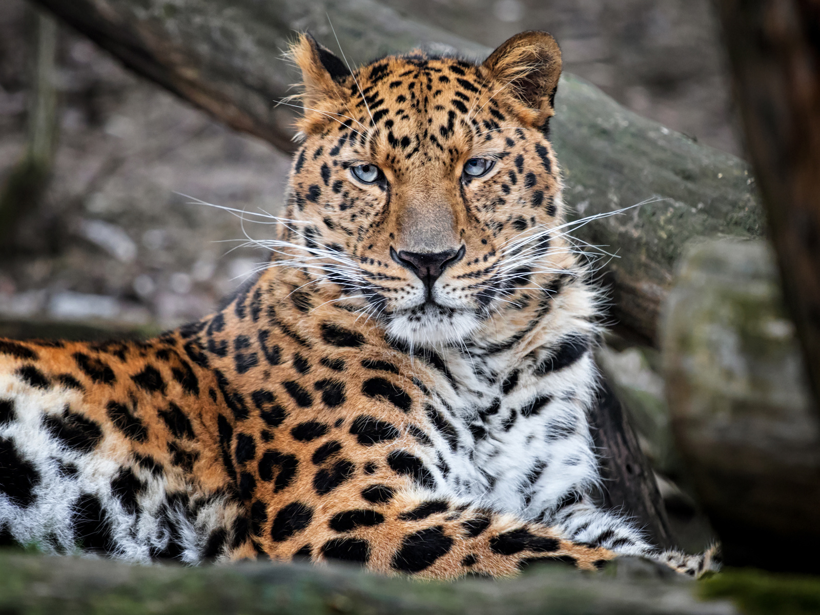 Adobestock 355912513