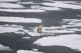 Untitled Design 2021 02 19T151608.837 768X512