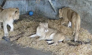 Screenshot 2025 10 29 At 10.46.58