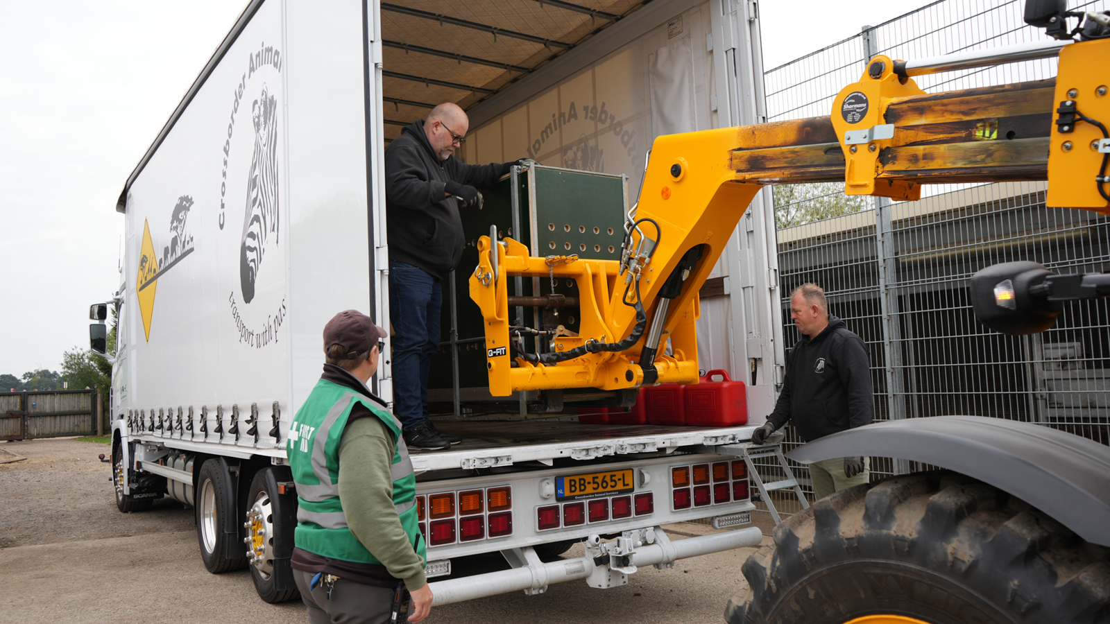 Lion Rescue 3 13