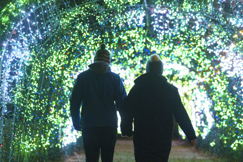 YWP Winter Lights 035