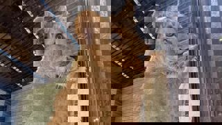 66Cc30e4 2297 4Ab0 Bebe B815c4f012aa 2