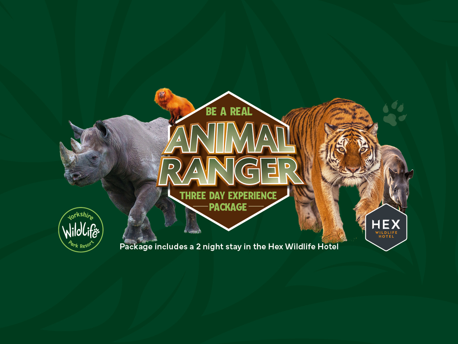 YWP 2954 Web Carousel 3000 X 1050 Be A Real Ranger V2