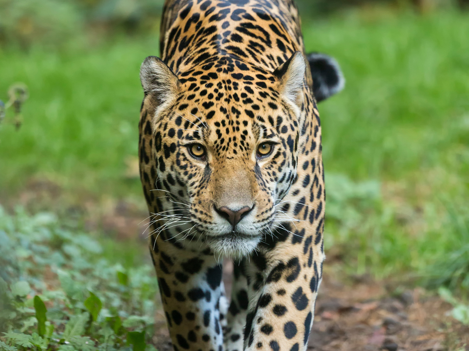 Adobestock 178472141