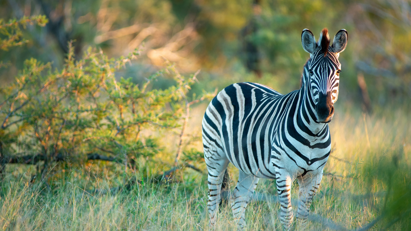 Adobestock 722901922