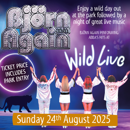 Ywp 2609 Bjorn Again Social Sq 1080 X 1080 Proof Rg Edit