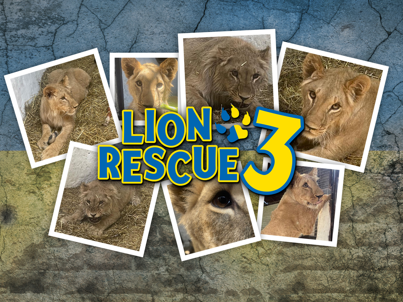 Lion Rescue 3 Hero Image