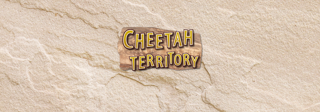 Cheetah Website Carosel