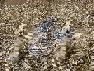 Fcaf0b4b 6070 40D2 B9ba 8Aa708901456