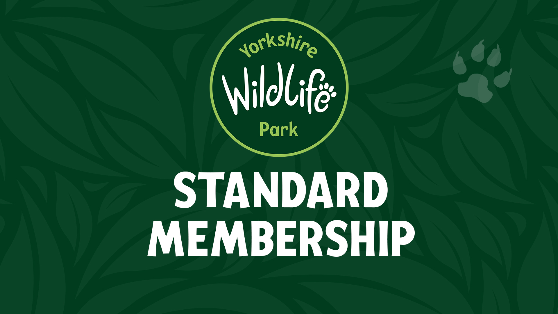 Standard Membership