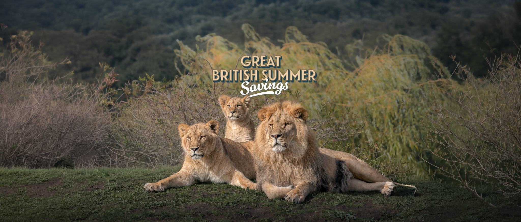 Great British Summer Savings (1)