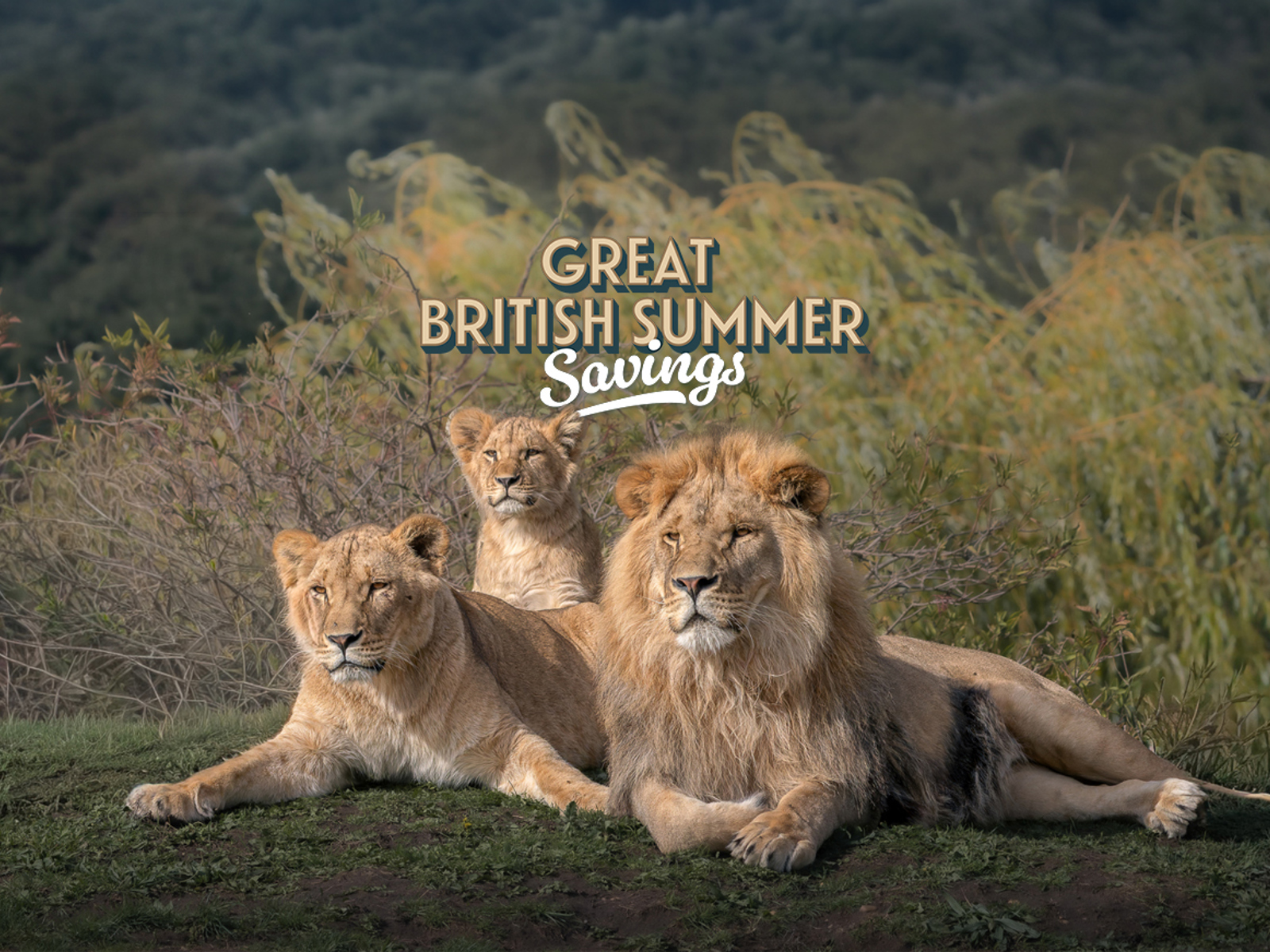 Great British Summer Savings (1)