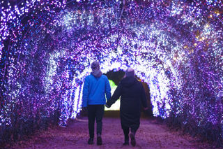 YWP Winter Lights 036