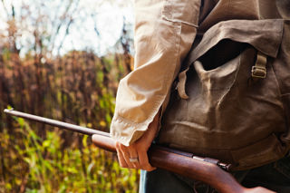 Adobestock 233667542