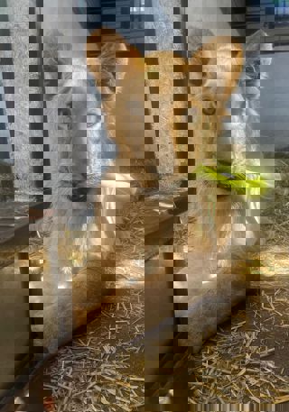 65678Ba5 B70a 4D78 87B5 5B3ea3aea747 2