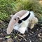 Anteater Soft Toy (1)