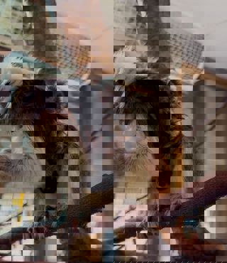 Photo 2025 02 17 10 50 00