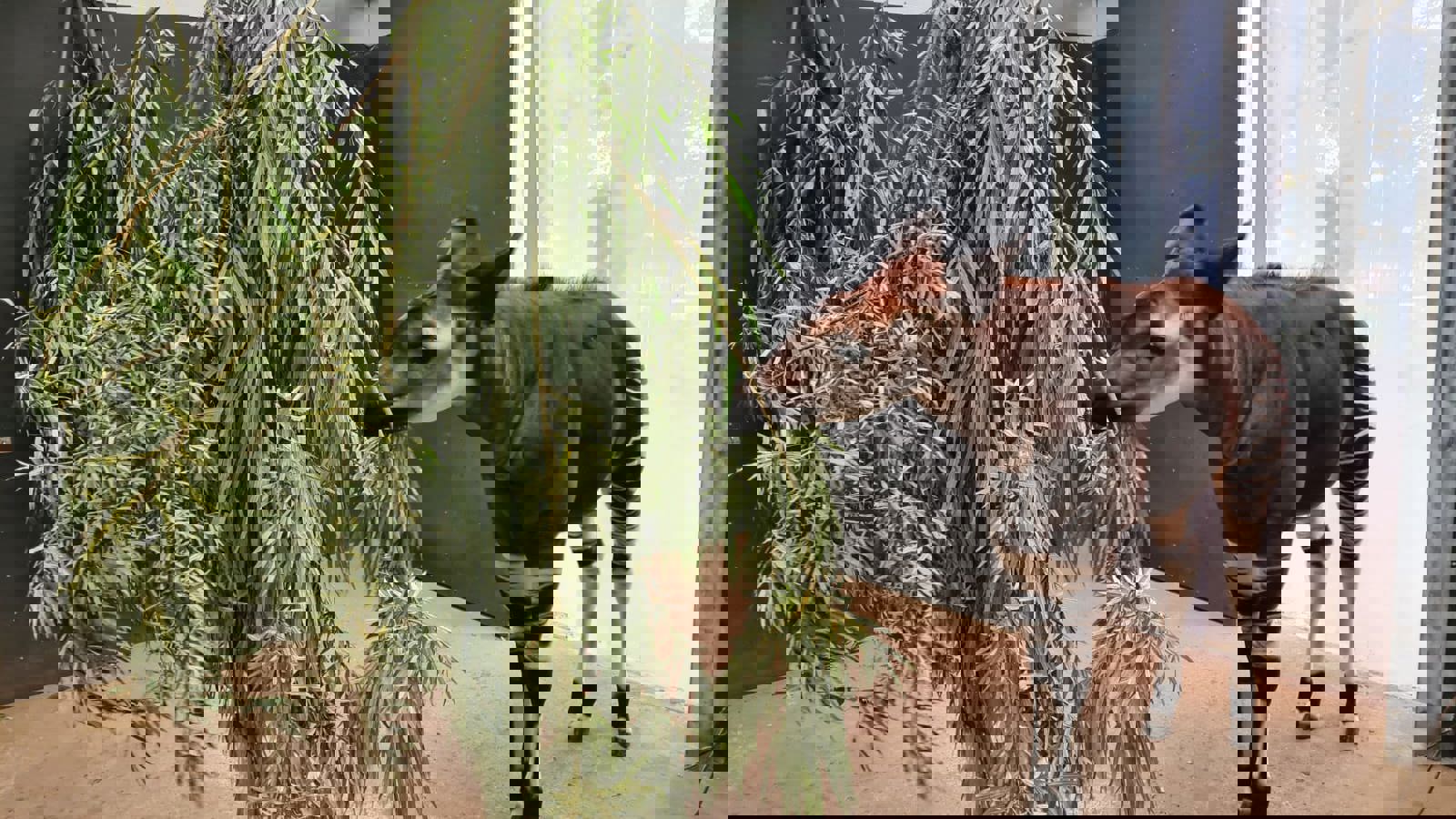 PHOTO 2025 04 10 13 56 30