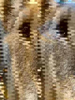 9438A023 2Def 46E2 Bda1 1110Ae786469 3