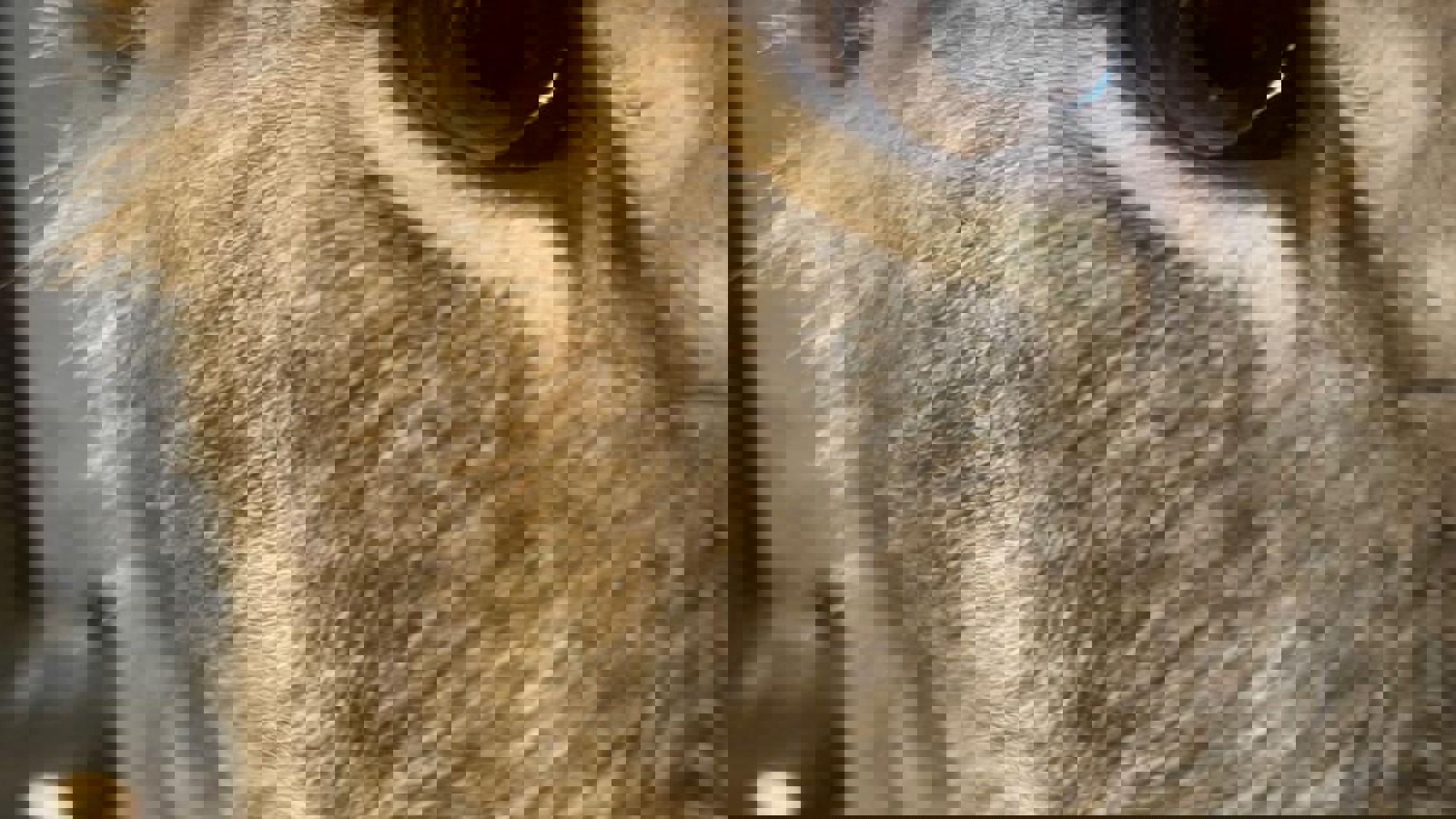 9438A023 2Def 46E2 Bda1 1110Ae786469 3