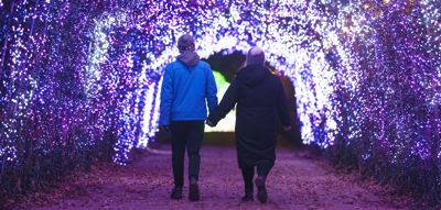 Ywp Winter Lights 036 (1)