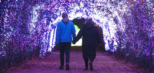 Ywp Winter Lights 036 (1)