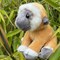 Small Gibbon 2