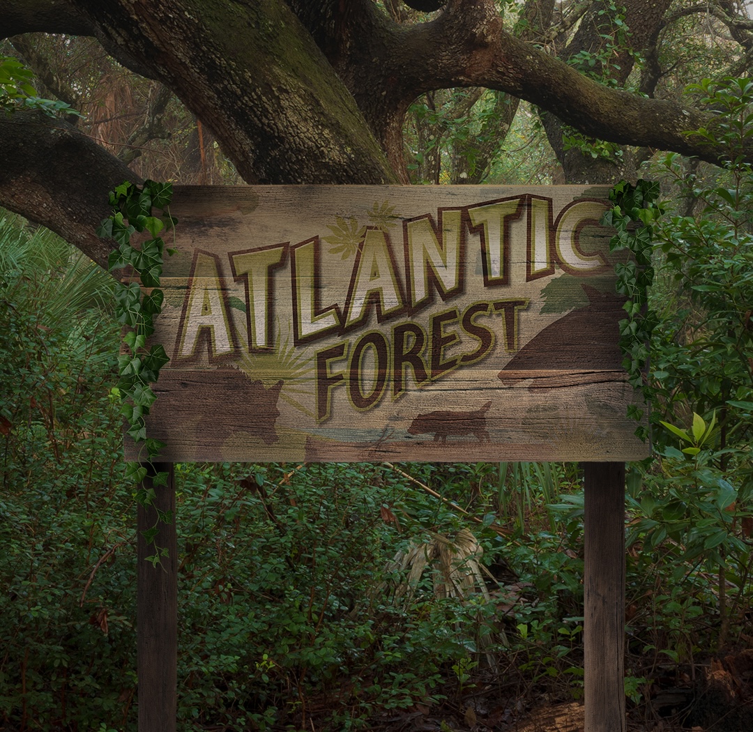 Atlantic Forest Carousel Copy