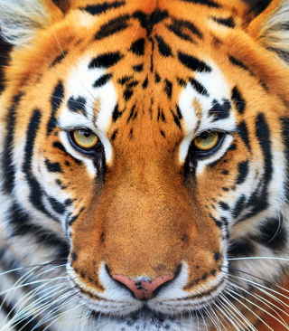 Adobestock 224137190