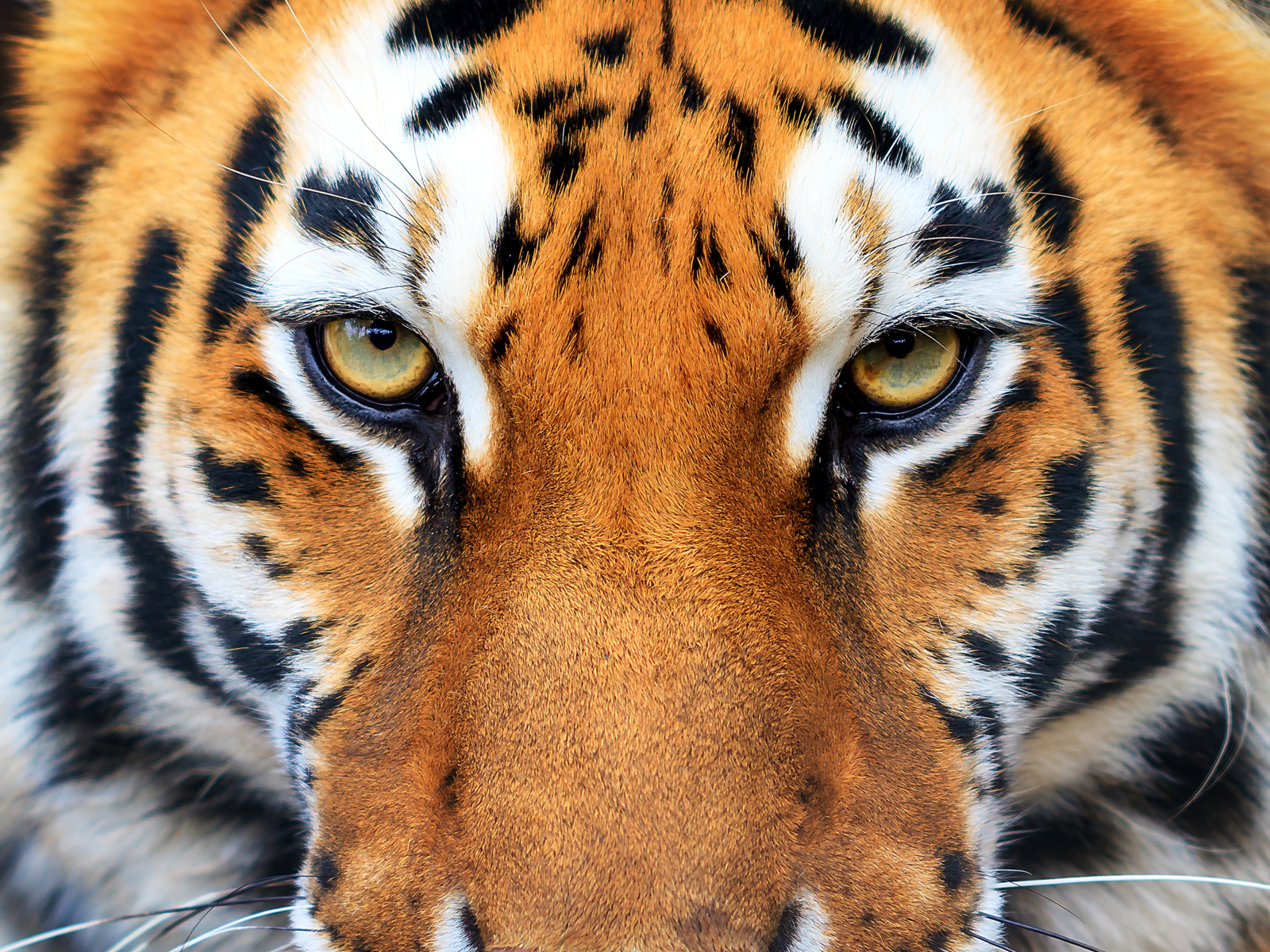 Adobestock 224137190