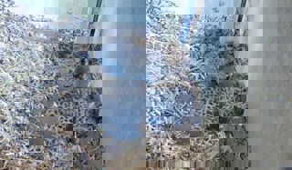 Whatsapp Image 2025 05 01 At 10.40.11