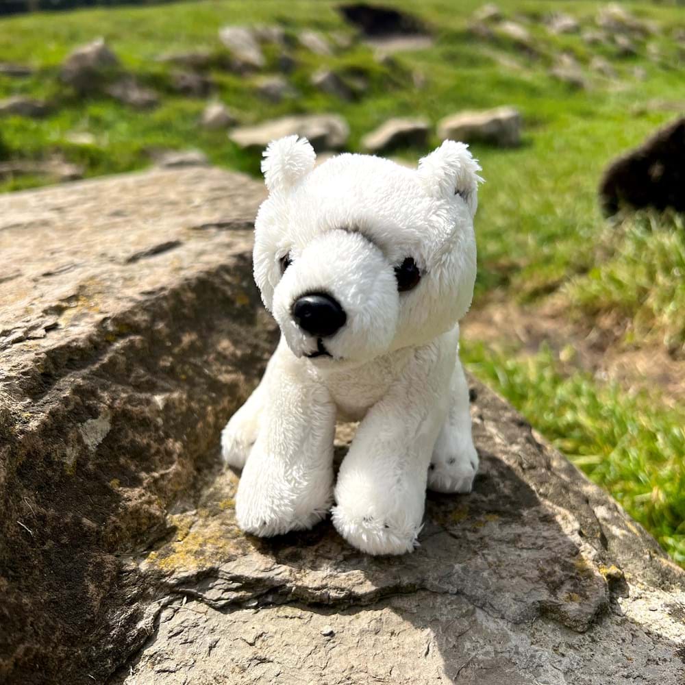 Small Polar Bear Soft Toy