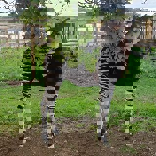 A4e3b796 5B82 471B 9C29 8Bee7fbae0f6