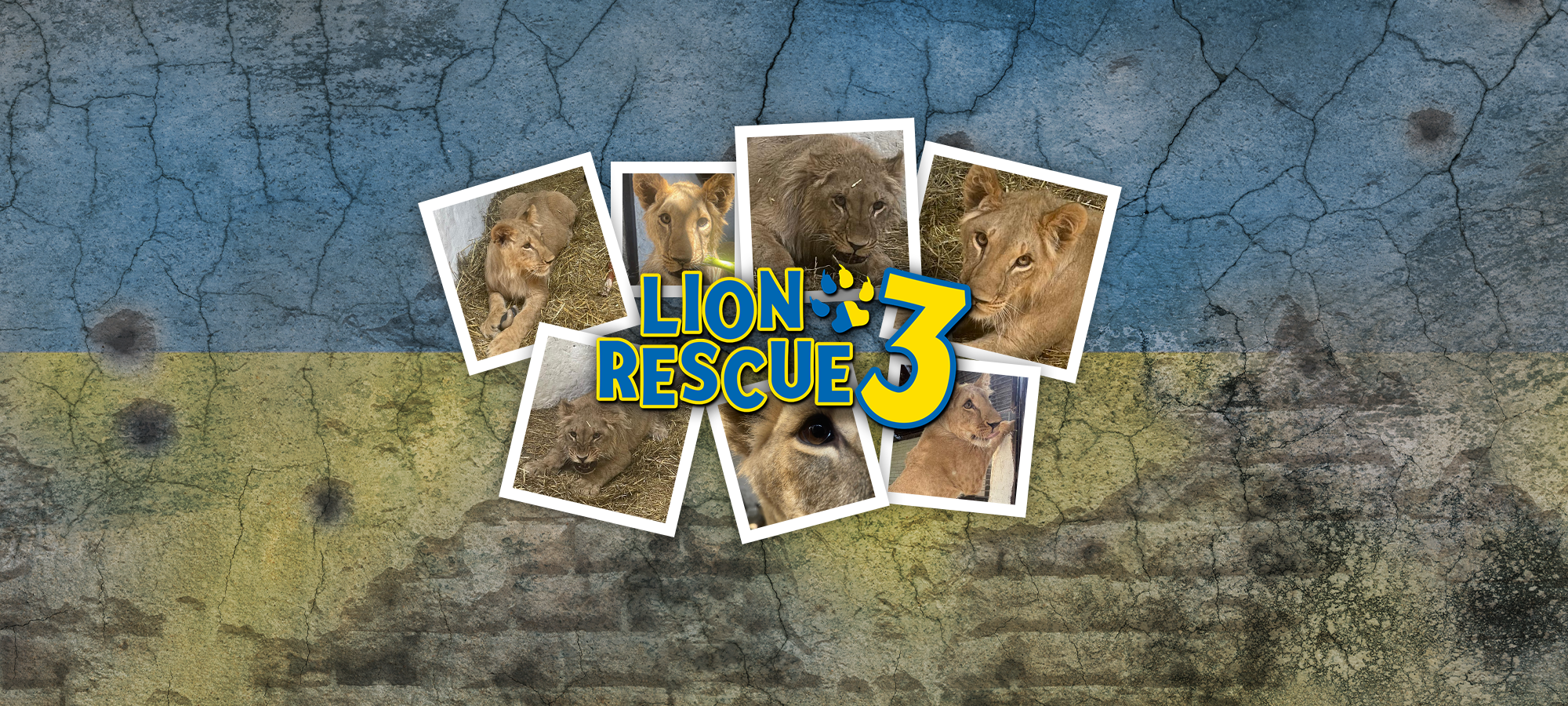 Lion Rescue 3 Test