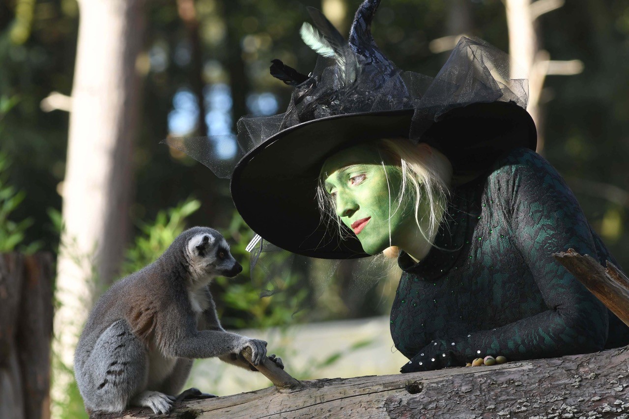 Halloween 2