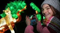 Giant animal lanterns Winter Illuminations